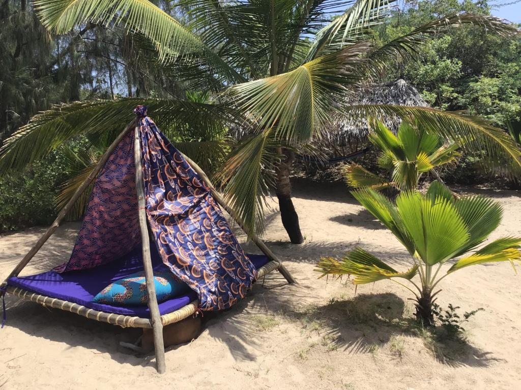 Eco-adventure camping