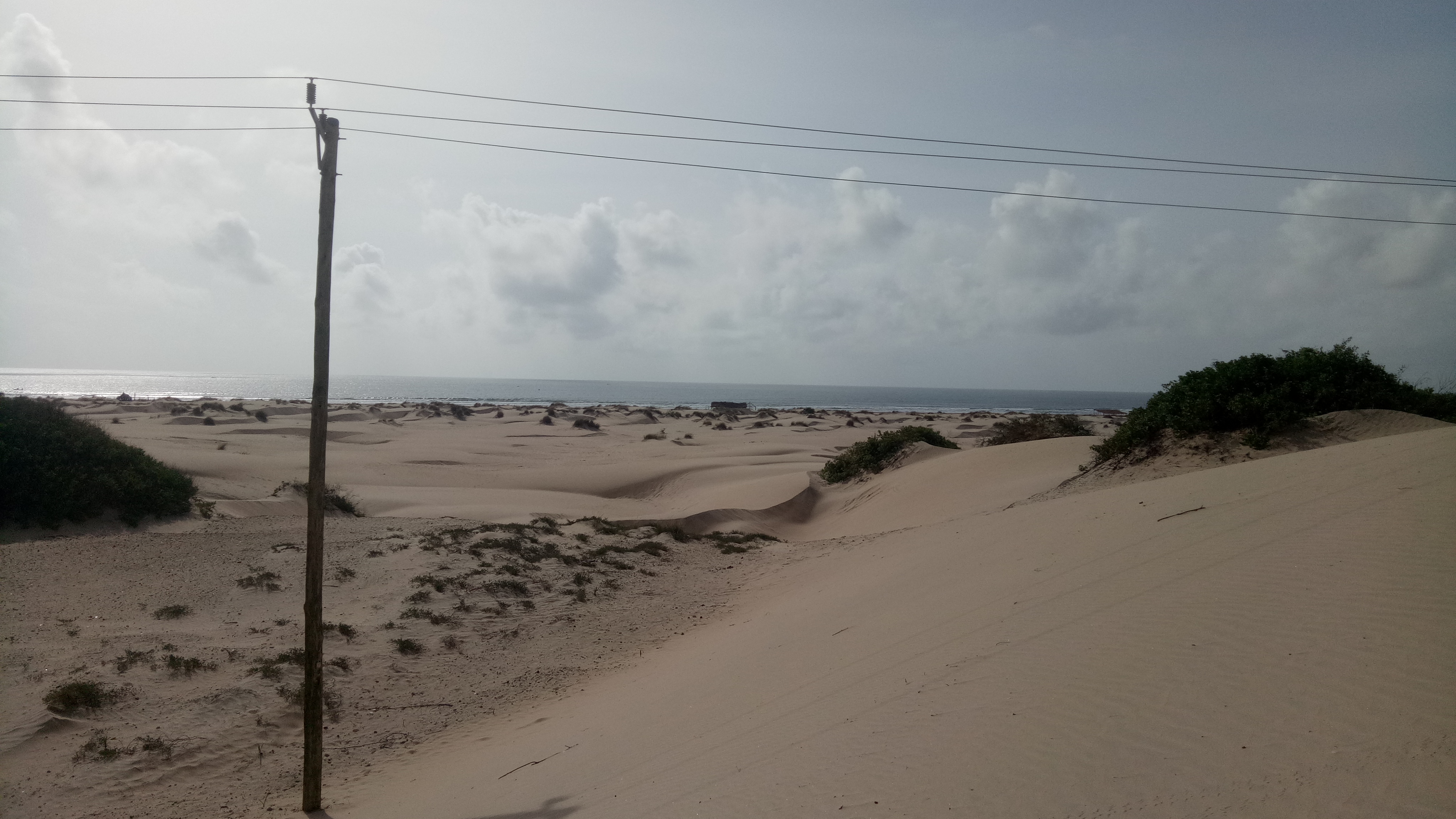 Marine conservation tour